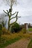 L1010078a_1.jpg