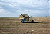L1012741.jpg