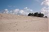 L1013232.jpg