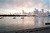 L1013248.jpg