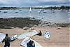 L1013250.jpg