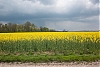 L1013601.jpg