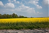 L1013606.jpg