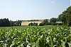 L1013733.jpg