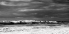 2011_1_10_877_00001.jpg