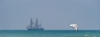 Belem2.jpg