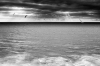 L1000629-Modifier-2-Modifier-2.jpg