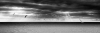 L1000629-Modifier-2-Modifier-2~0.jpg