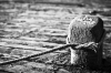 L1000872-Modifier.jpg