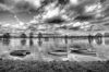 PLG4140_400-TX.jpg