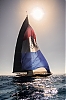 Voiles_de_St_Tropez_2012-0082.jpg