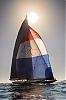 Voiles_de_St_Tropez_2012-0086.jpg