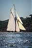 Voiles_de_St_Tropez_2012-2425.jpg