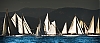 Voiles_de_St_Tropez_2012-2426.jpg