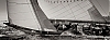 Voiles_de_St_Tropez_2012-2955.jpg