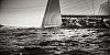 Voiles_de_St_Tropez_2012-3112.jpg