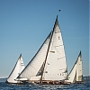 Voiles_de_St_Tropez_2012-3140.jpg