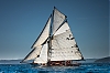 Voiles_de_St_Tropez_2012-3159.jpg