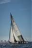 Voiles_de_St_Tropez_2012-3247.jpg