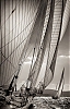 Voiles_de_St_Tropez_2012-3279.jpg