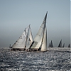 Voiles_de_St_Tropez_2012-3293.jpg