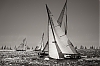 Voiles_de_St_Tropez_2012-3310.jpg
