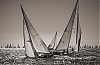 Voiles_de_St_Tropez_2012-3313.jpg