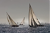 Voiles_de_St_Tropez_2012-3335.jpg
