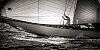 Voiles_de_St_Tropez_2012-3337.jpg