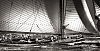 Voiles_de_St_Tropez_2012-3397.jpg