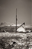 Voiles_de_St_Tropez_2012-3471.jpg