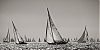Voiles_de_St_Tropez_2012-3546.jpg