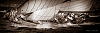 Voiles_de_St_Tropez_2012-3919.jpg
