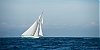 Voiles_de_St_Tropez_2012-4433.jpg