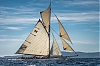 Voiles_de_St_Tropez_2012-4543.jpg