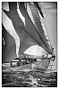 Voiles_de_St_Tropez_2012-4700-Modifier.jpg