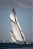Voiles_de_St_Tropez_2012-4831.jpg