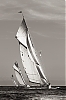 Voiles_de_St_Tropez_2012-4834.jpg