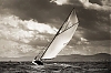 Voiles_de_St_Tropez_2012-5977.jpg