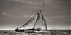 Voiles_de_St_Tropez_2012-5980.jpg