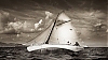 Voiles_de_St_Tropez_2012-5986.jpg