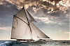 Voiles_de_St_Tropez_2012-6067.jpg