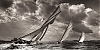 Voiles_de_St_Tropez_2012-6073-2.jpg