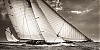 Voiles_de_St_Tropez_2012-6307.jpg
