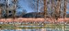 _PLG4643_tonemappe.jpg