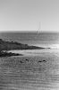 _PLG5739_1.jpg
