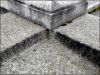 Angle-buste-2.jpg