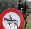 cheval-1.jpg