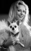 chienne-1188004.jpg