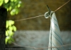 fil_vieux-1216721.jpg